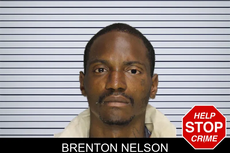 Brenton Nelson mugshot