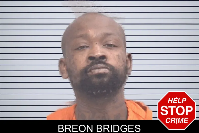 Breon Bridges mugshot