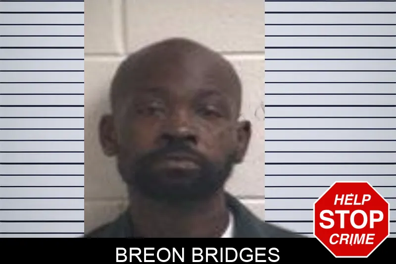 Breon Bridges mugshot
