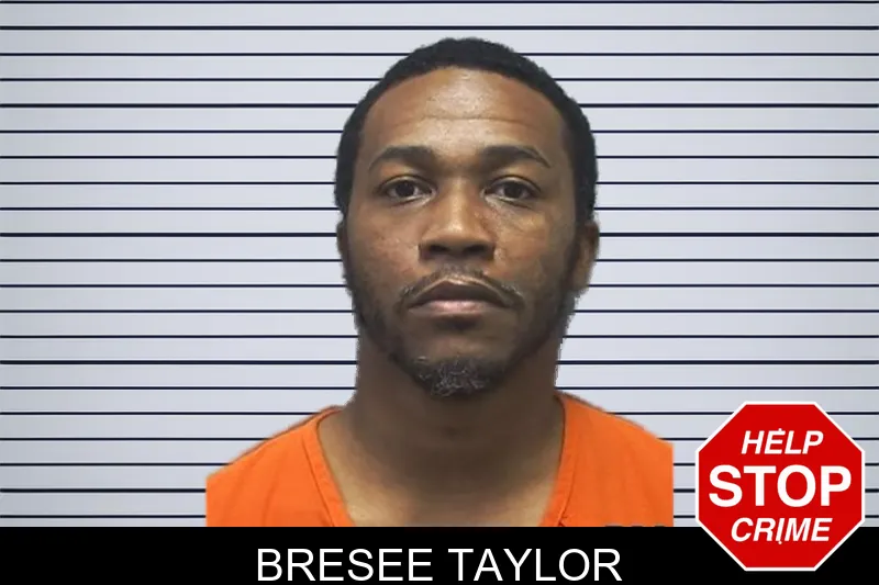 Bresee Taylor mugshot