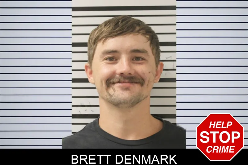 Brett Denmark mugshot