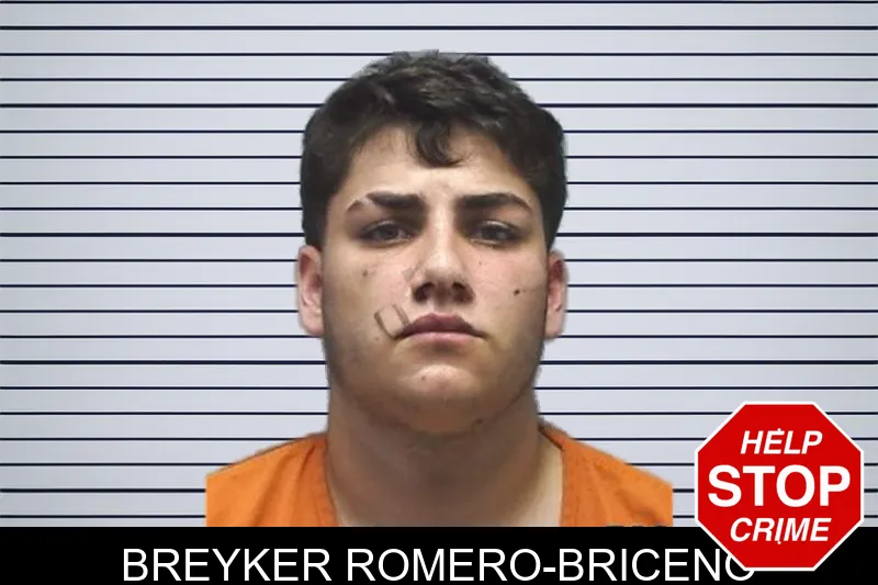 Breyker Romero-Briceno mugshot