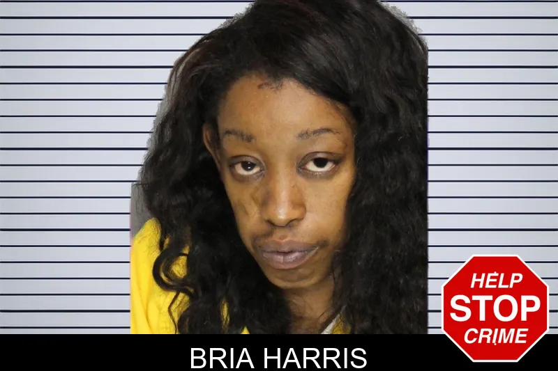 Bria Harris mugshot