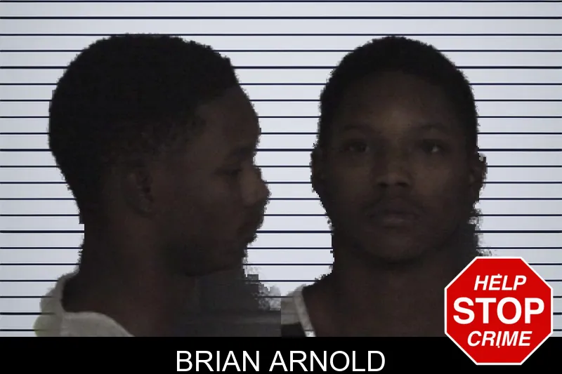 Brian Arnold mugshot