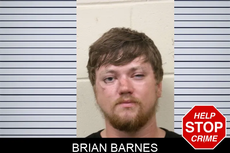 Brian Barnes mugshot