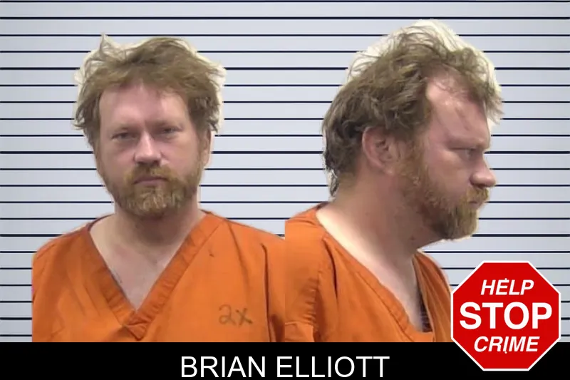 Brian Elliott mugshot