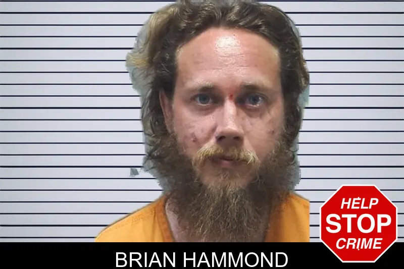 Brian Hammond mugshot