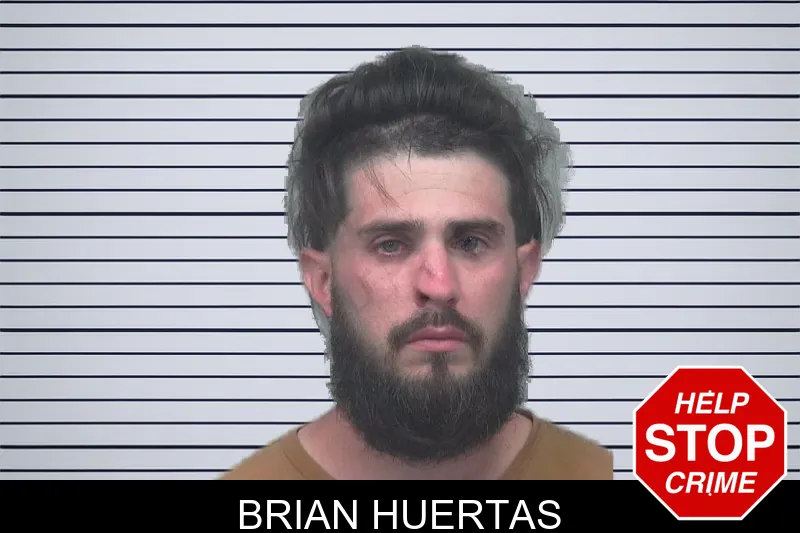 Brian Huertas mugshot