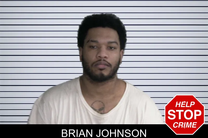 Brian Johnson mugshot