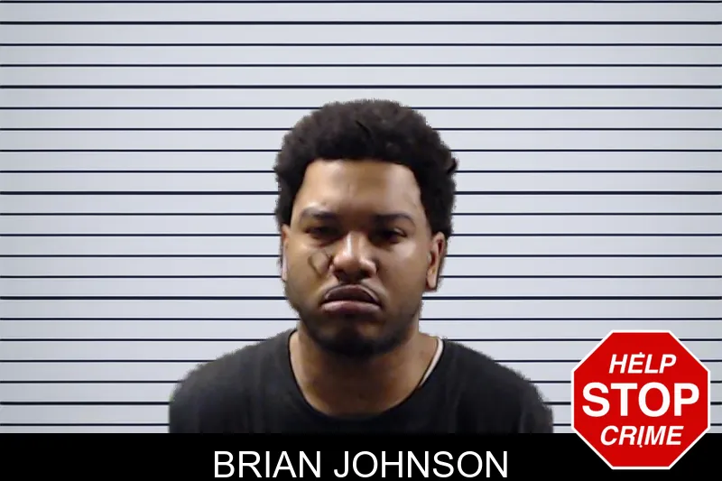 Brian Johnson mugshot