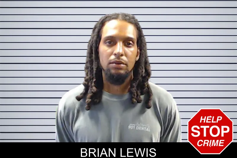 Brian Lewis mugshot