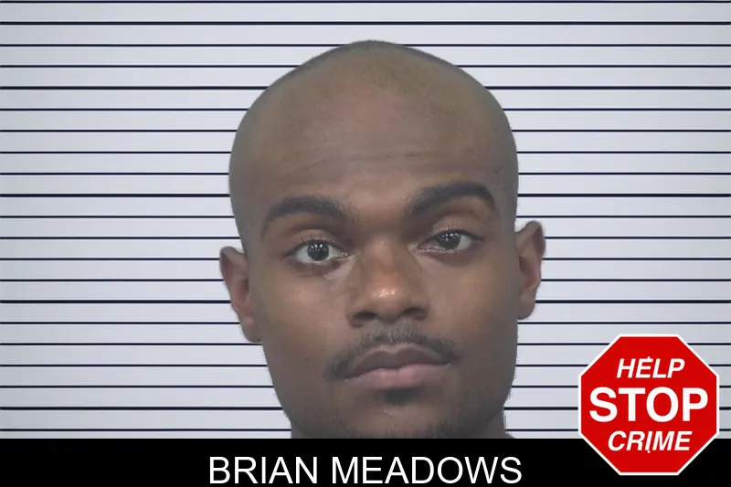 Brian Meadows mugshot