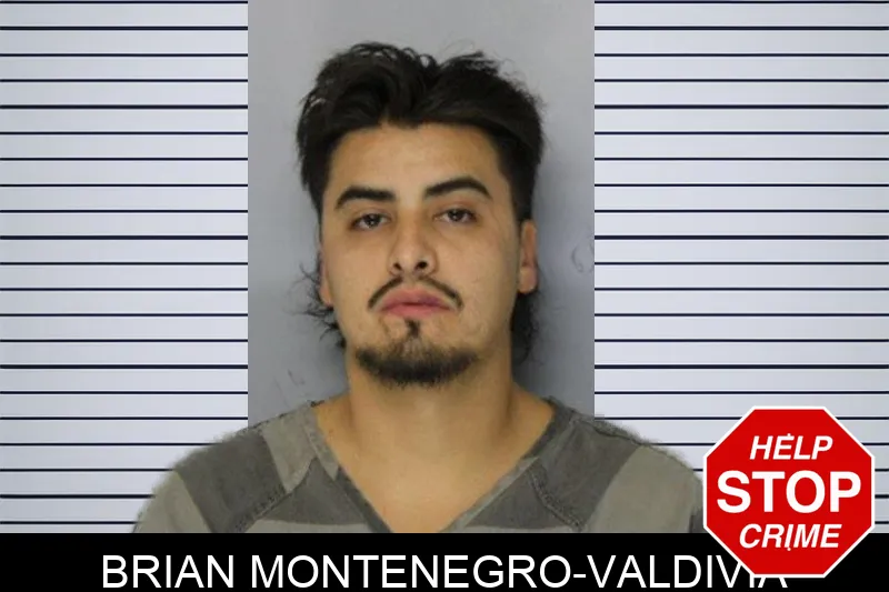 Brian Montenegro-Valdivia mugshot
