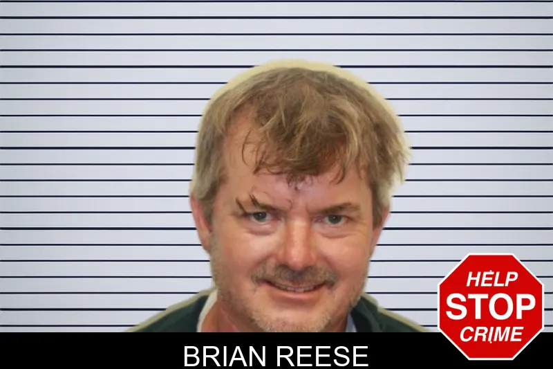 Brian Reese mugshot