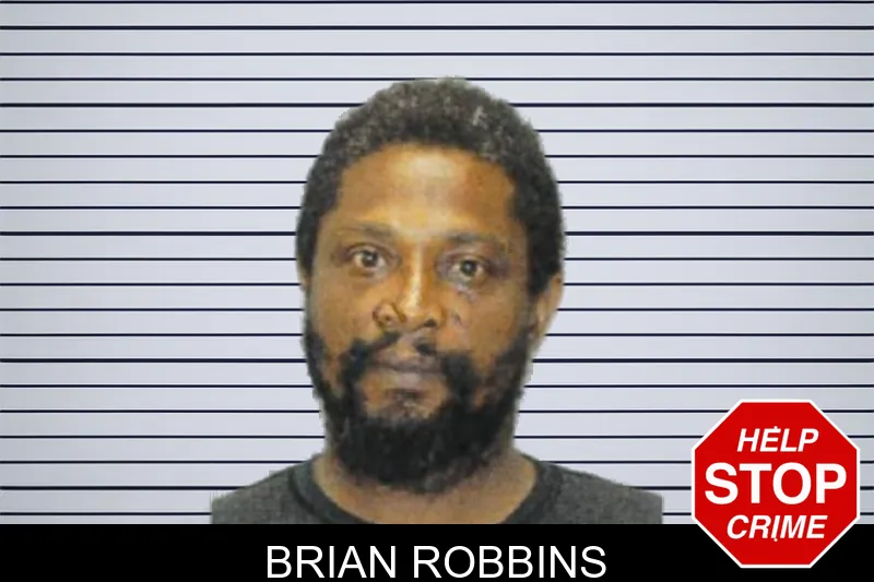 Brian Robbins mugshot