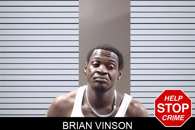 Brian Vinson mugshot