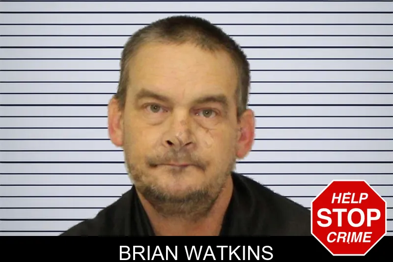 Brian Watkins mugshot