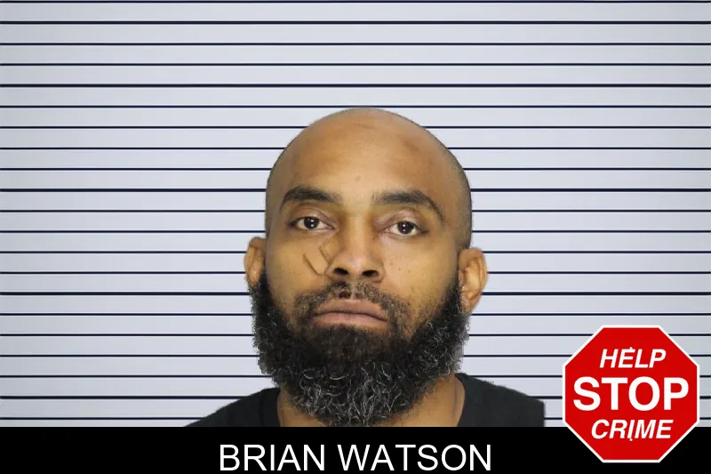 Brian Watson mugshot