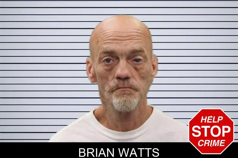 Brian Watts mugshot