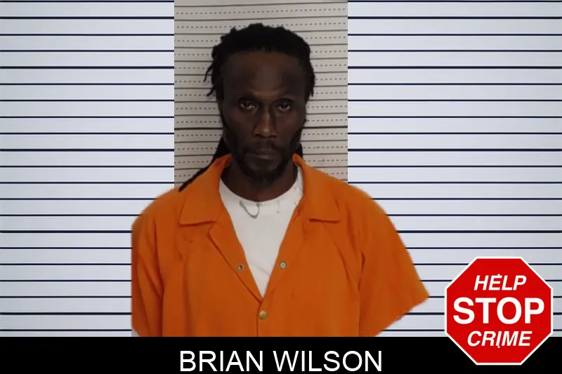 Brian Wilson mugshot
