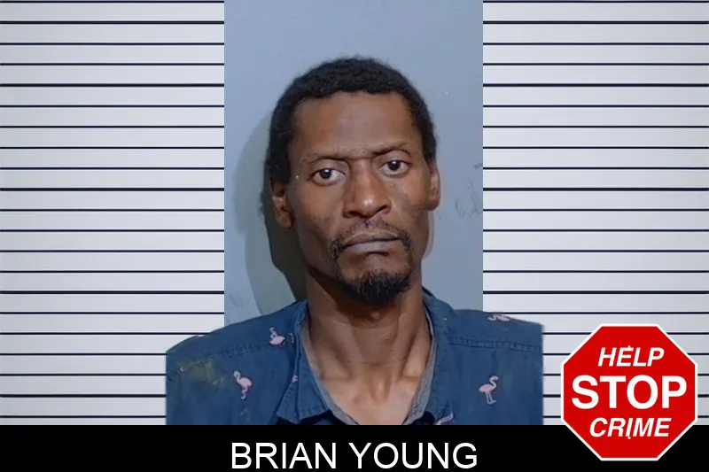 Brian Young mugshot