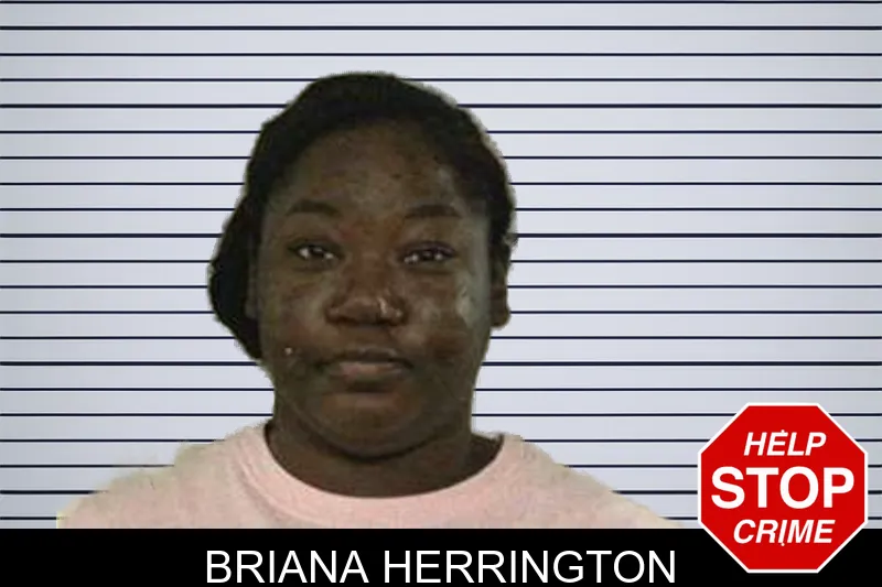 Briana Herrington mugshot