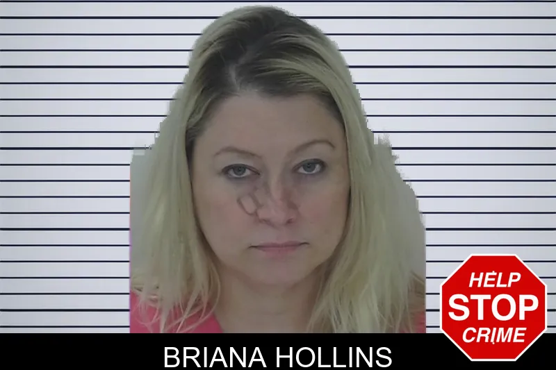 Briana Hollins mugshot