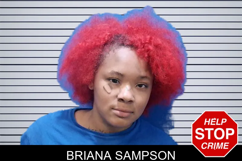 Briana Sampson mugshot