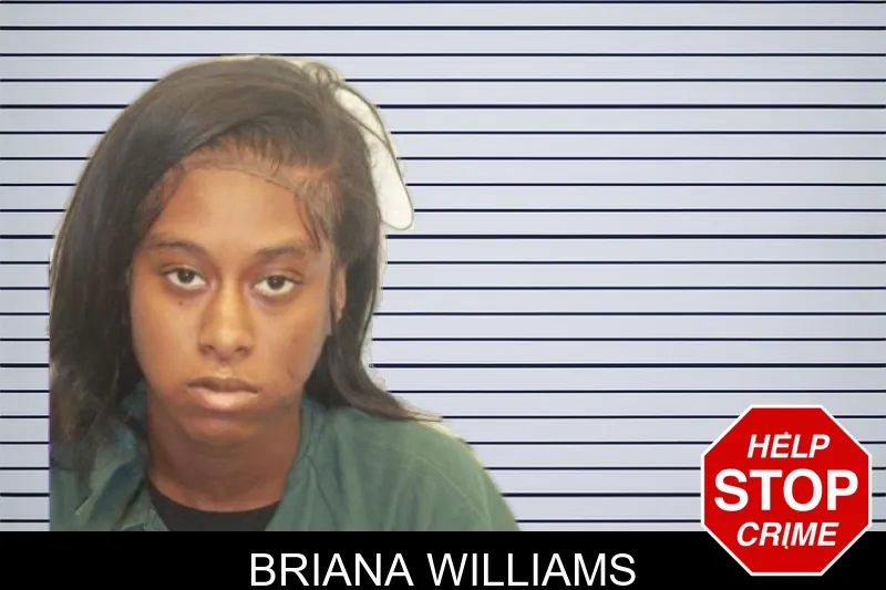 Briana Williams mugshot
