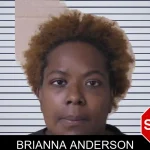 Brianna Anderson mugshot