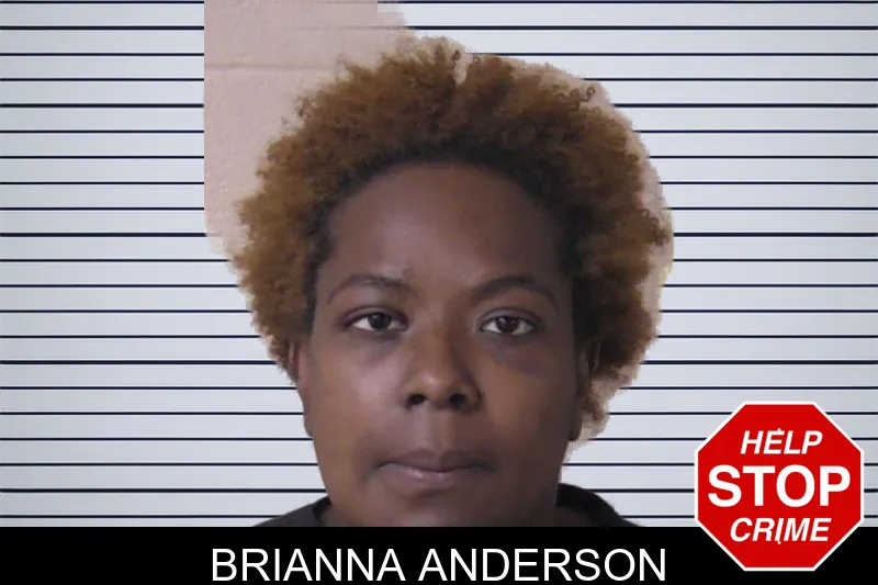 Brianna Anderson mugshot