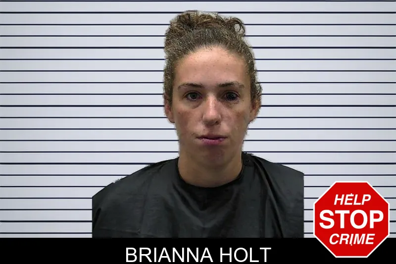 Brianna Holt mugshot