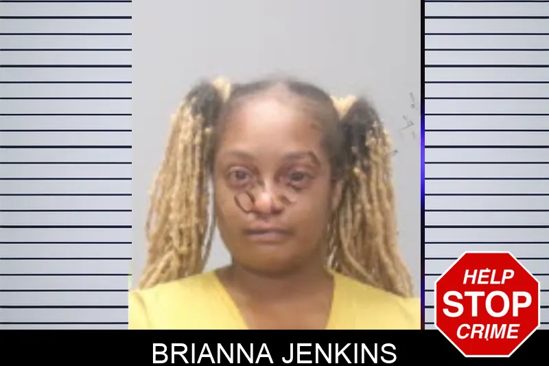 Brianna Jenkins mugshot