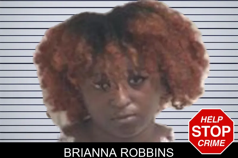 Brianna Robbins mugshot