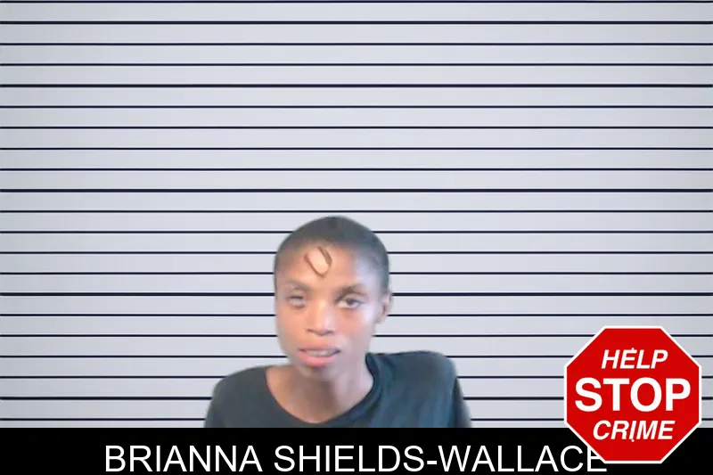 Brianna Shields-Wallace mugshot