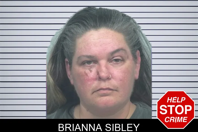 Brianna Sibley mugshot