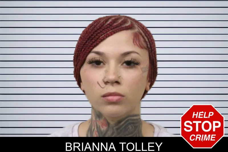 Brianna Tolley mugshot