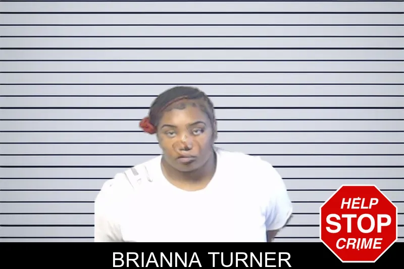 Brianna Turner mugshot