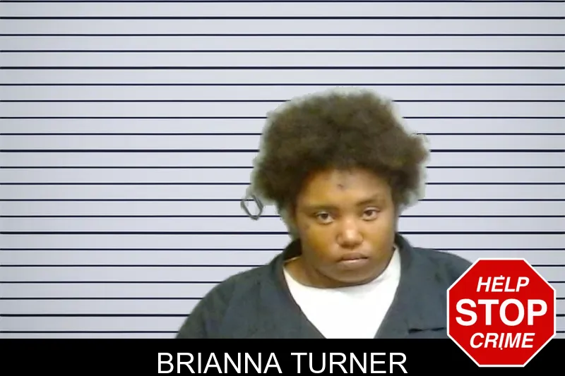 Brianna Turner mugshot