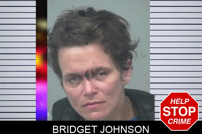 Bridget Johnson mugshot