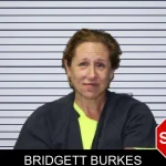 Bridgett Burkes mugshot