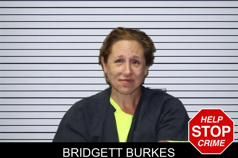Bridgett Burkes mugshot