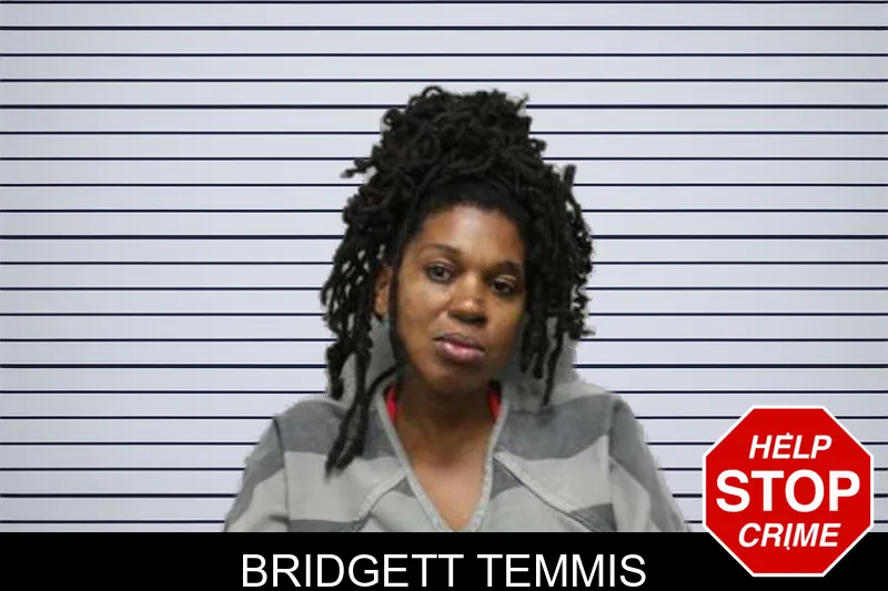 Bridgett Temmis mugshot
