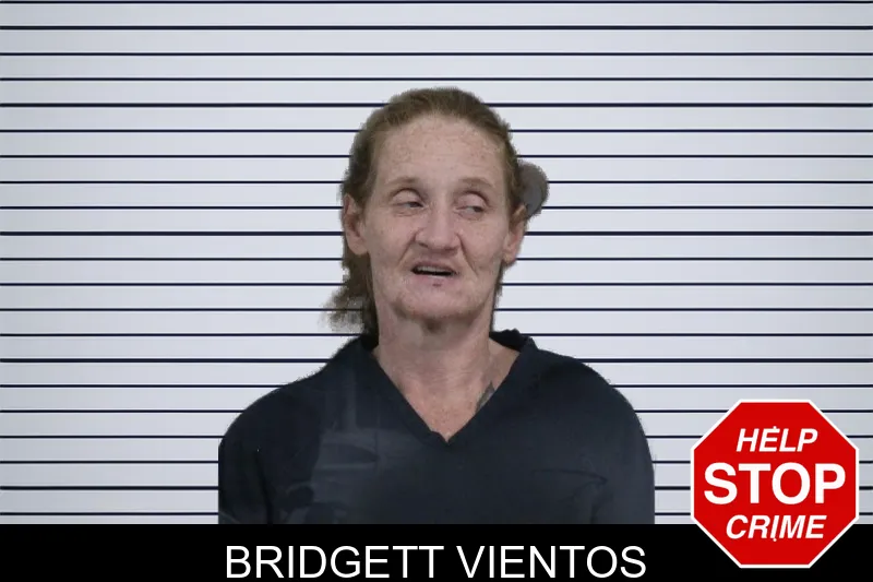 Bridgett Vientos mugshot