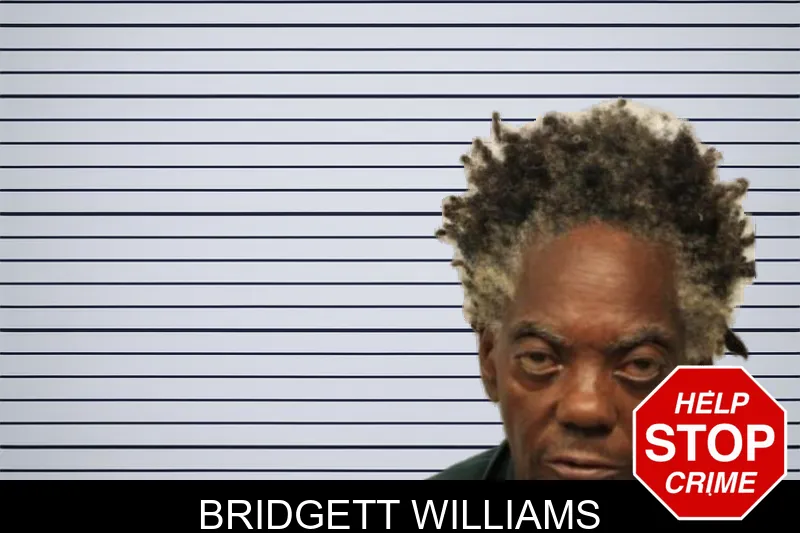 Bridgett Williams mugshot