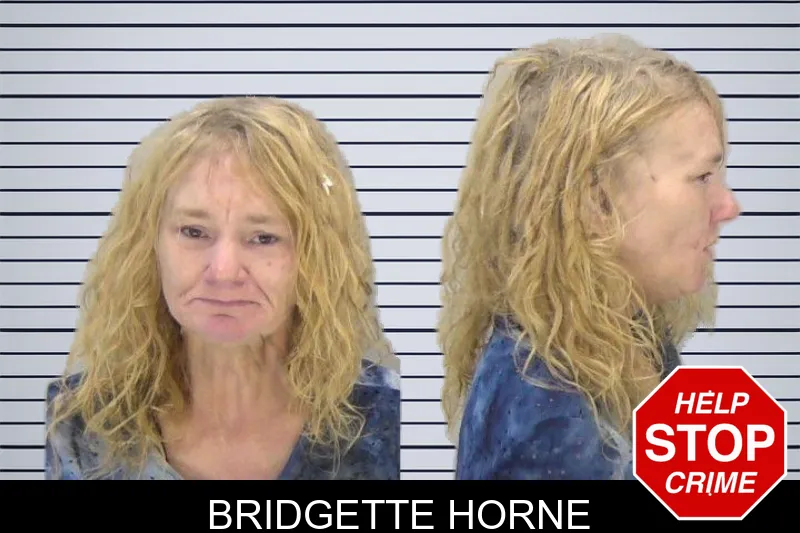 Bridgette Horne mugshot
