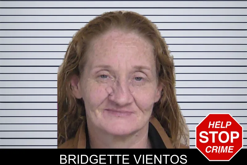 Bridgette Vientos mugshot
