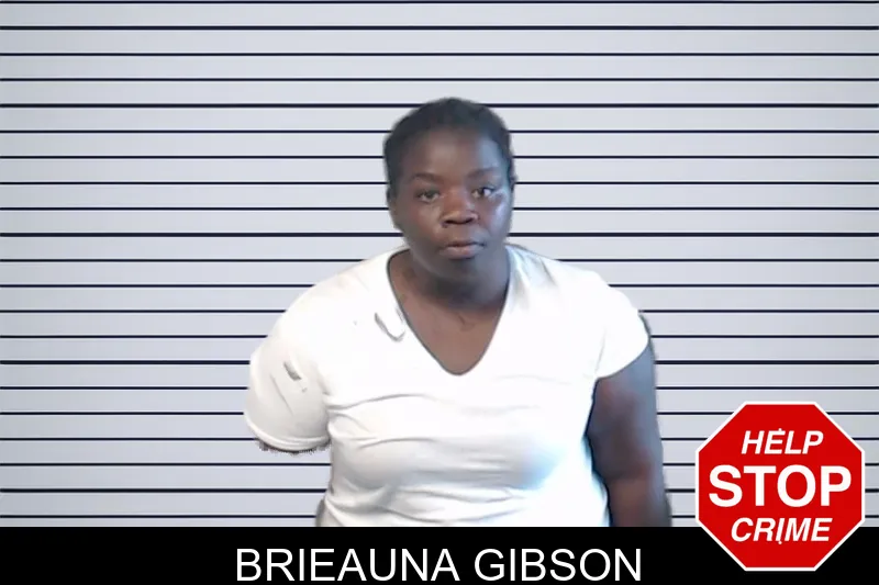 Brieauna Gibson mugshot