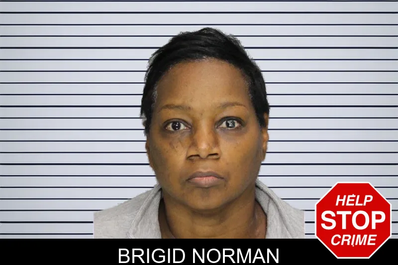 Brigid Norman mugshot