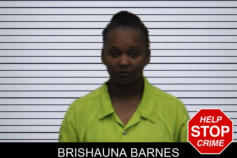 Brishauna Barnes mugshot